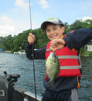 Crappie Fish in Wisconsin